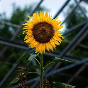 Meet your Posher, Elle